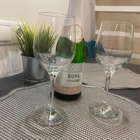 בודפשט Downtown Mini Apartment מראה חיצוני תמונה