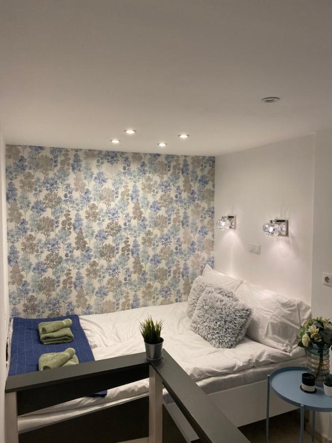 בודפשט Downtown Mini Apartment מראה חיצוני תמונה